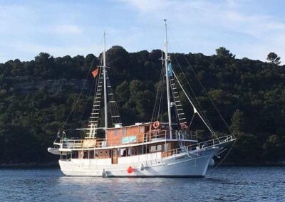 FB_IMG_1732641247563